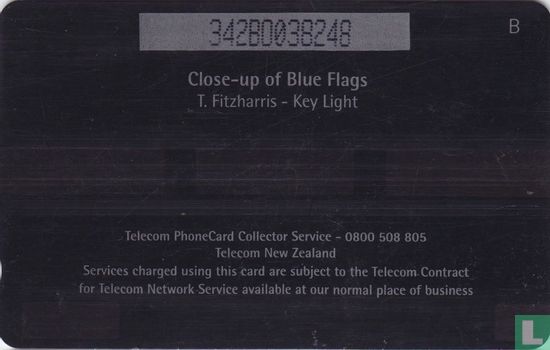 Blue Flags - Image 2