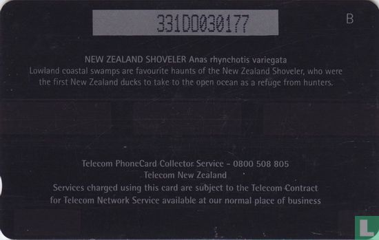 New Zealand Shoveler - Afbeelding 2