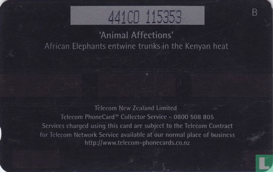 Afican Elephants - Afbeelding 2