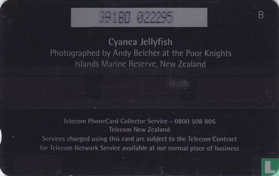 Cyanea Yellyfish - Afbeelding 2