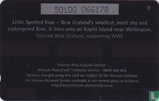 Little Spotted Kiwi - Bild 2