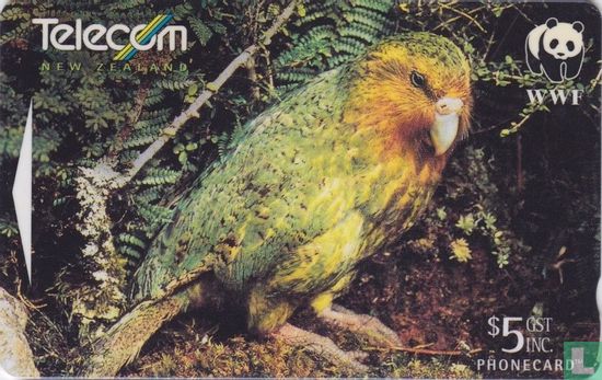 Kakapo - Afbeelding 1