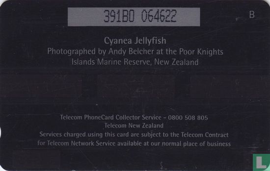 Cyanea Yellyfish - Image 2
