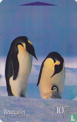 Emperor Pinguins - Bild 1