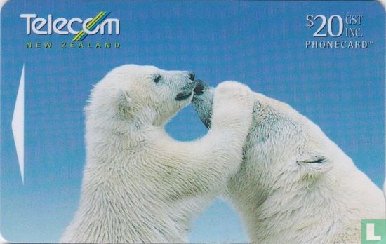 Polar Bears - Bild 1