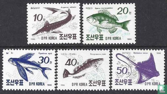 Fish