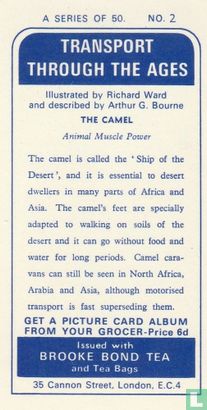 The Camel - Afbeelding 2