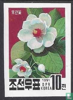 National Flower of Korea