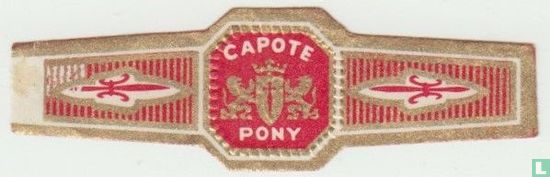 Capote Pony - Afbeelding 1