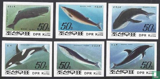 Walvissen en dolfijnen 