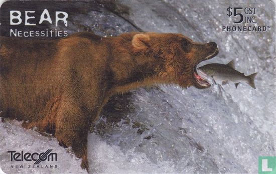 Alaskan Brown Bear (Ursus Arctos) - Afbeelding 1