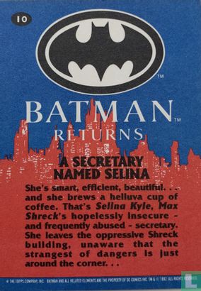 A secretary named Selina - Image 2