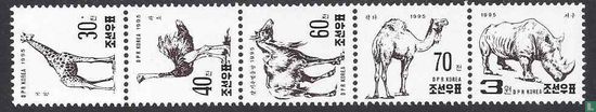 Afrikaanse fauna