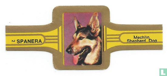 Mechlin Shepherd Dog - Image 1