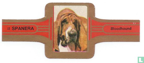 Bloodhound - Image 1