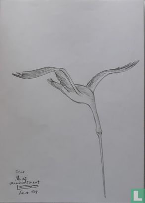 Aldebaran - bird