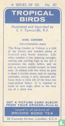 King Condor - Afbeelding 2