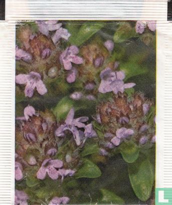Wild Thyme - Afbeelding 2