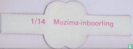 Muzima native - Image 2