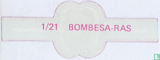 Bombesa type   - Afbeelding 2