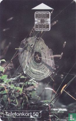 Spindel i Sitt Nät - Bild 1