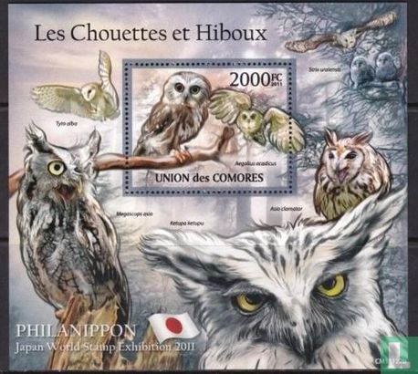  Chouettes