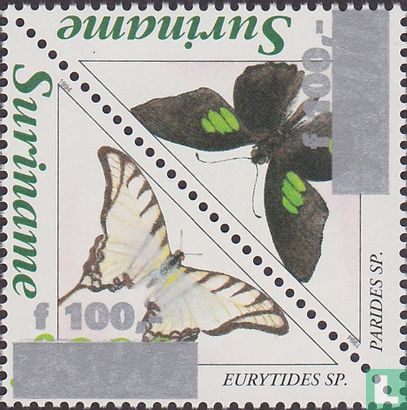 Schmetterlinge - Bild 1