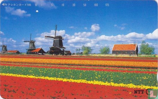 The Netherlands - Tulips and Windmills - Afbeelding 1