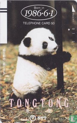 Tong Tong The Panda - Born 1986/6/1 - Afbeelding 1