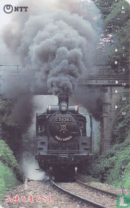 Steam Locomotive C 58363 in Mountain Valley - Image 1