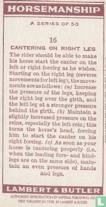 Cantering on right leg - Bild 2