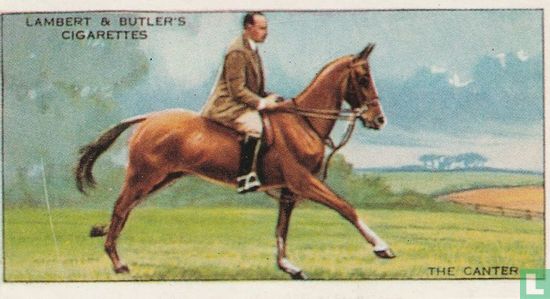 The canter - Bild 1