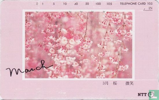 March - Cherry Blossoms - Image 1
