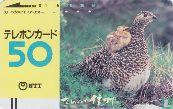 "Refreshing Shinshu" - Ptarmigan With Chicks - Afbeelding 1