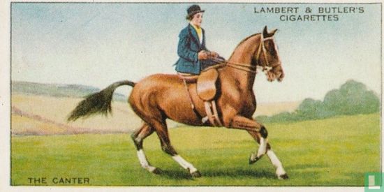 The canter - Bild 1