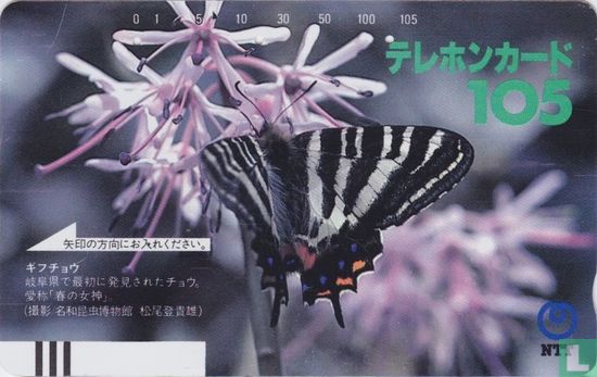 Butterfly On Flower - Afbeelding 1