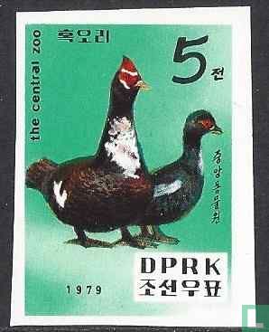 Dierentuin van Pyongyang