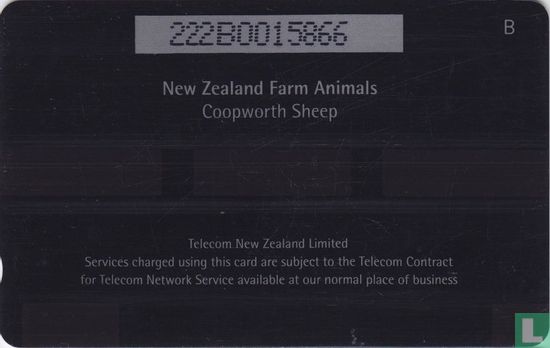 Coopworth  Sheep - Afbeelding 2