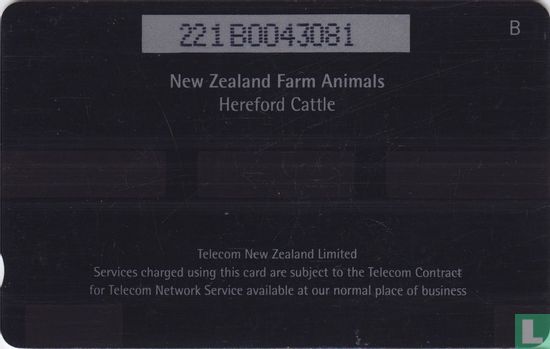Hereford Cattle - Image 2