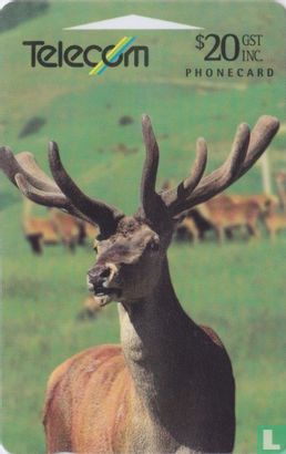 Red Deer - Afbeelding 1