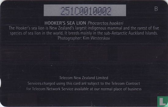 Hooker's Sea Lion - Afbeelding 2