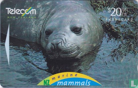 Elephant Seal - Afbeelding 1