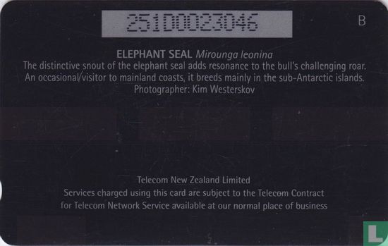 Elephant Seal - Afbeelding 2