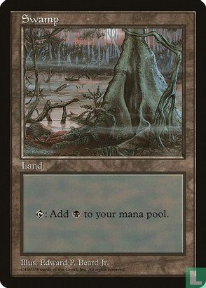 Swamp - Afbeelding 1