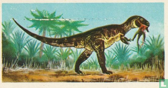 Megalosaurus - Afbeelding 1