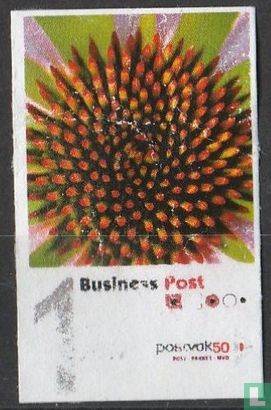 Zonnebloem
