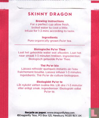 Skinny Dragon - Image 2
