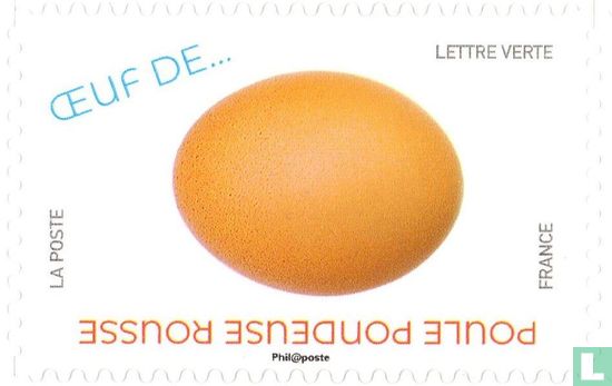 Œufs d'oiseaux