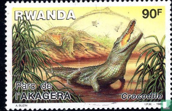 Akagera National-Park 