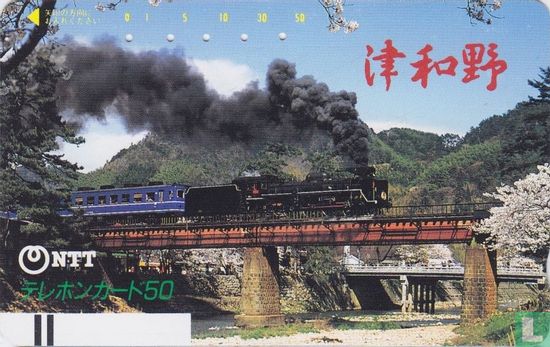 Steam Locomotive C 571 crossing a Bridge - Afbeelding 1